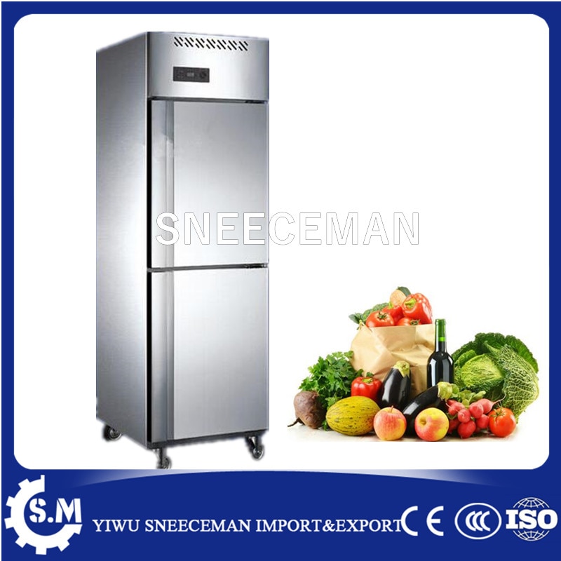 500L Novo Estilo 2 portas de aço inoxidável congelador comercial vertical